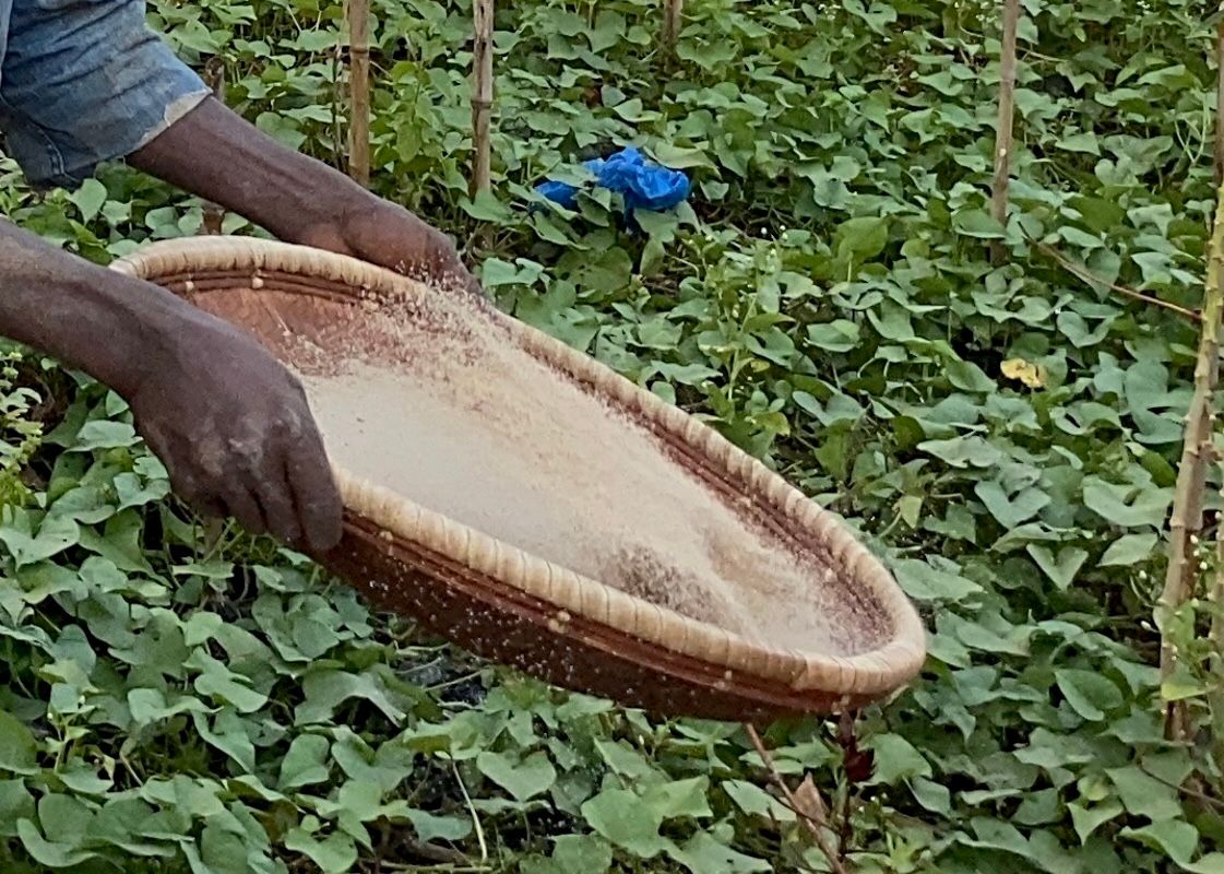 Title image for Sustainability Reporting