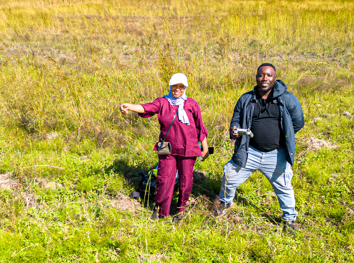 solutions.rows.automation.title