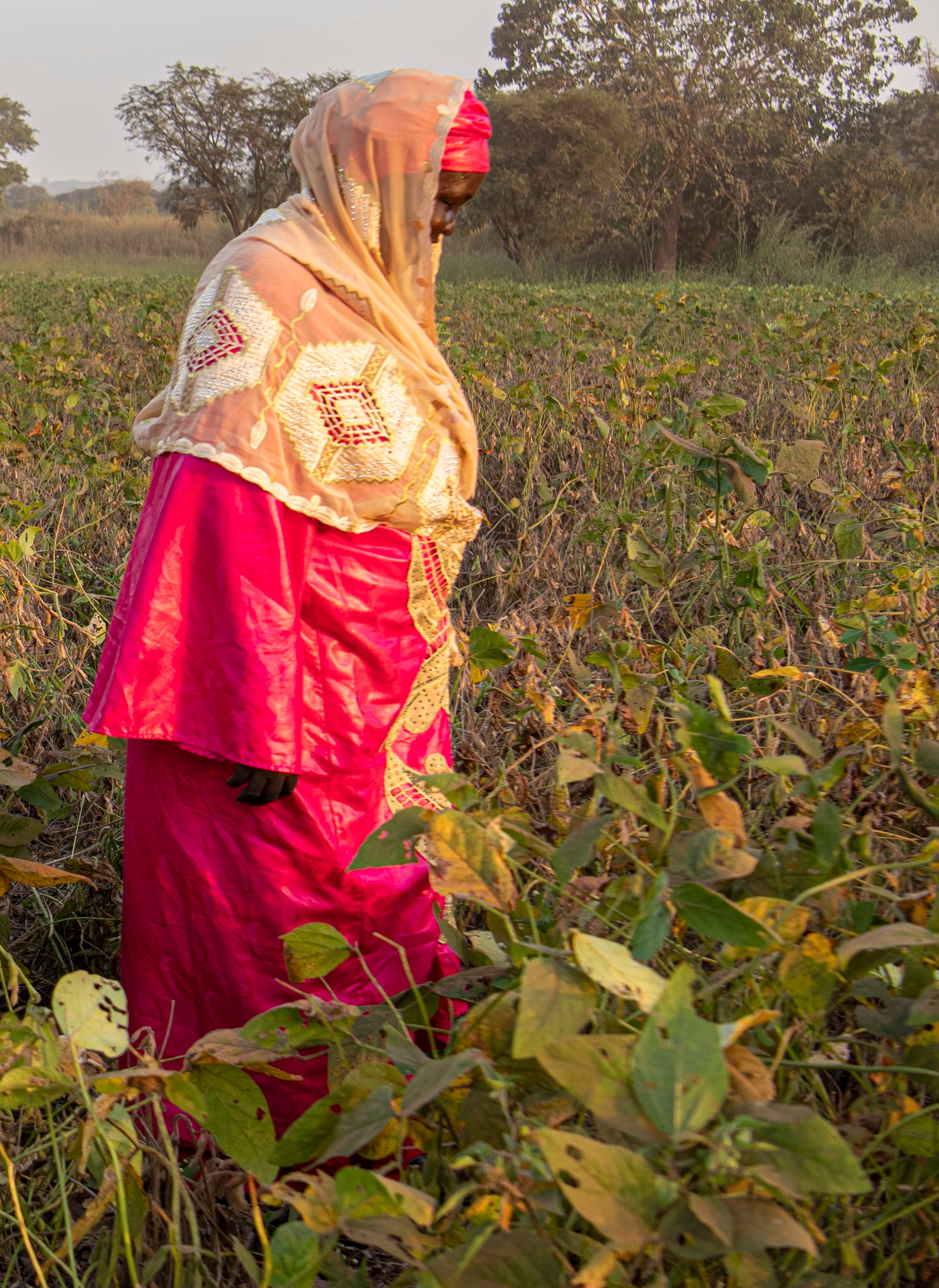 Two farmers with masks