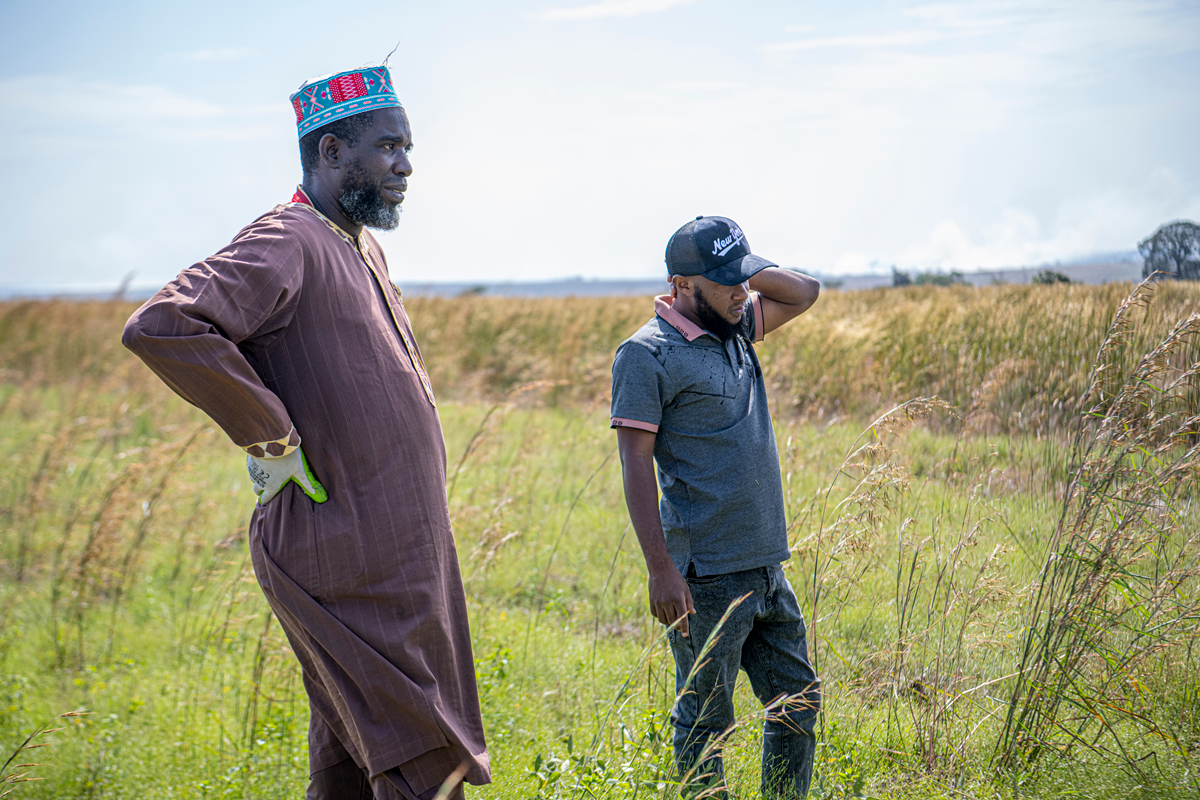 solutions.rows.challenges.title