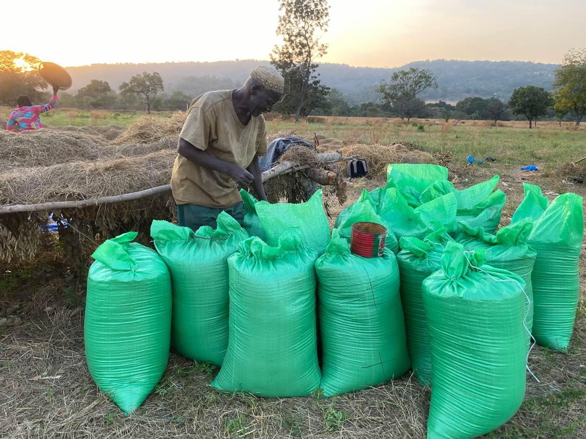 solutions.rows.gap.title