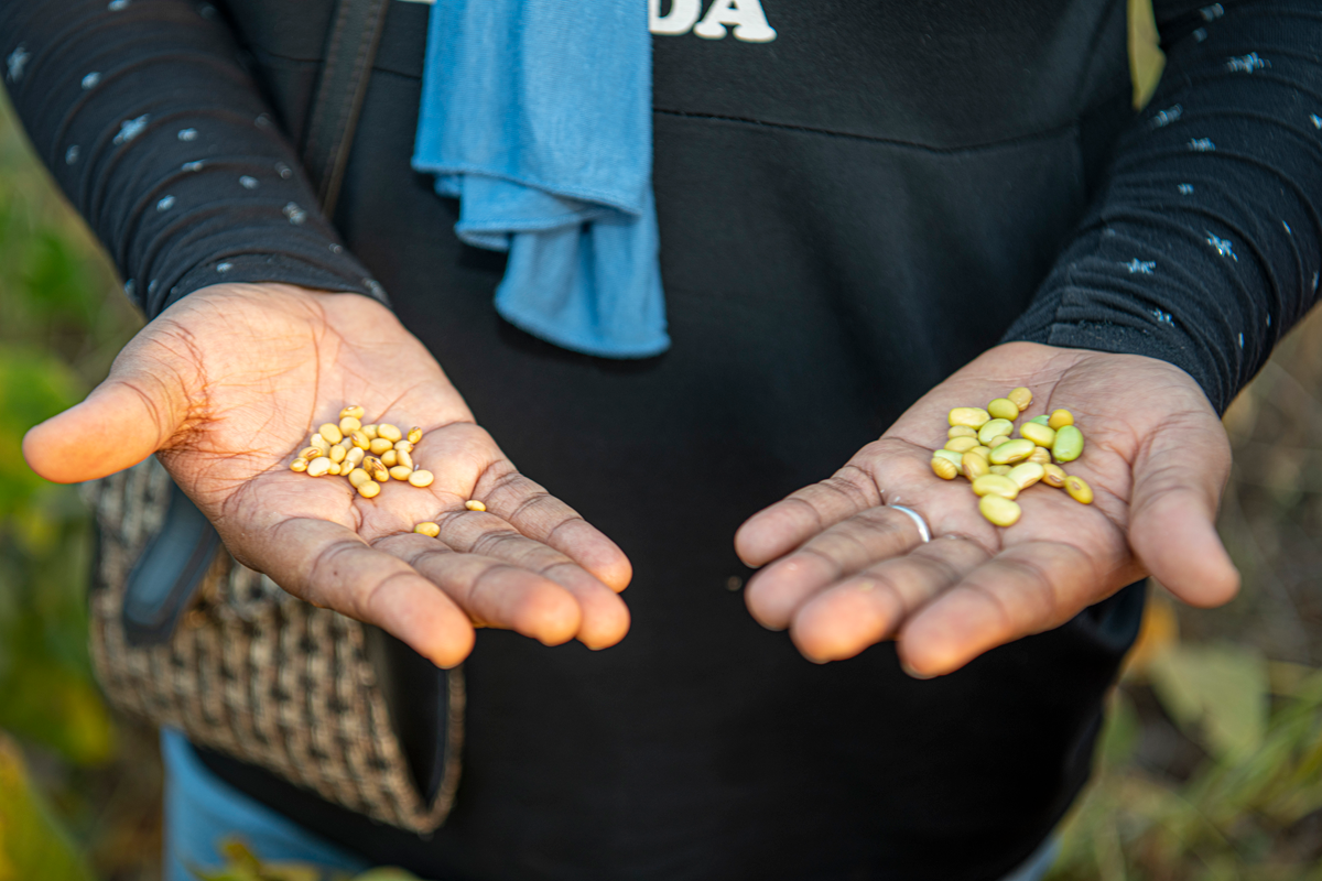 solutions.rows.problem.title