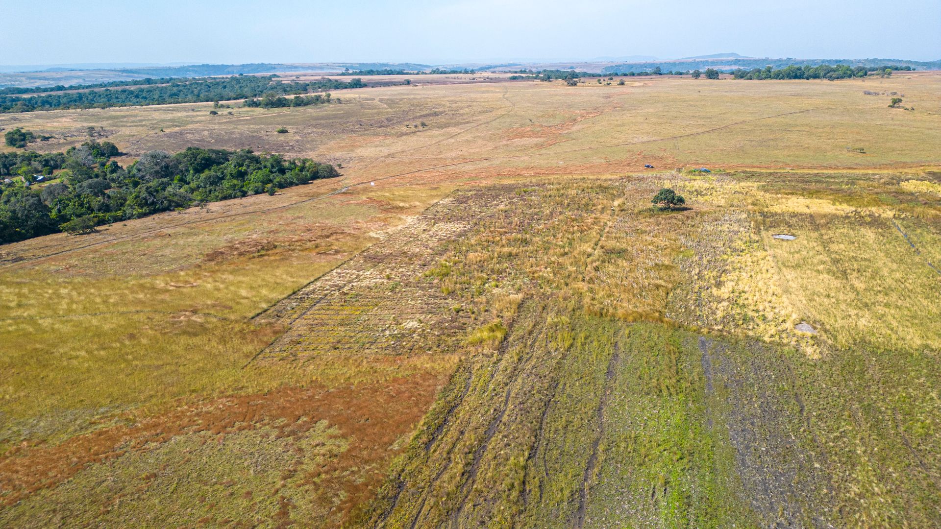Title image for Farmer Empowerment